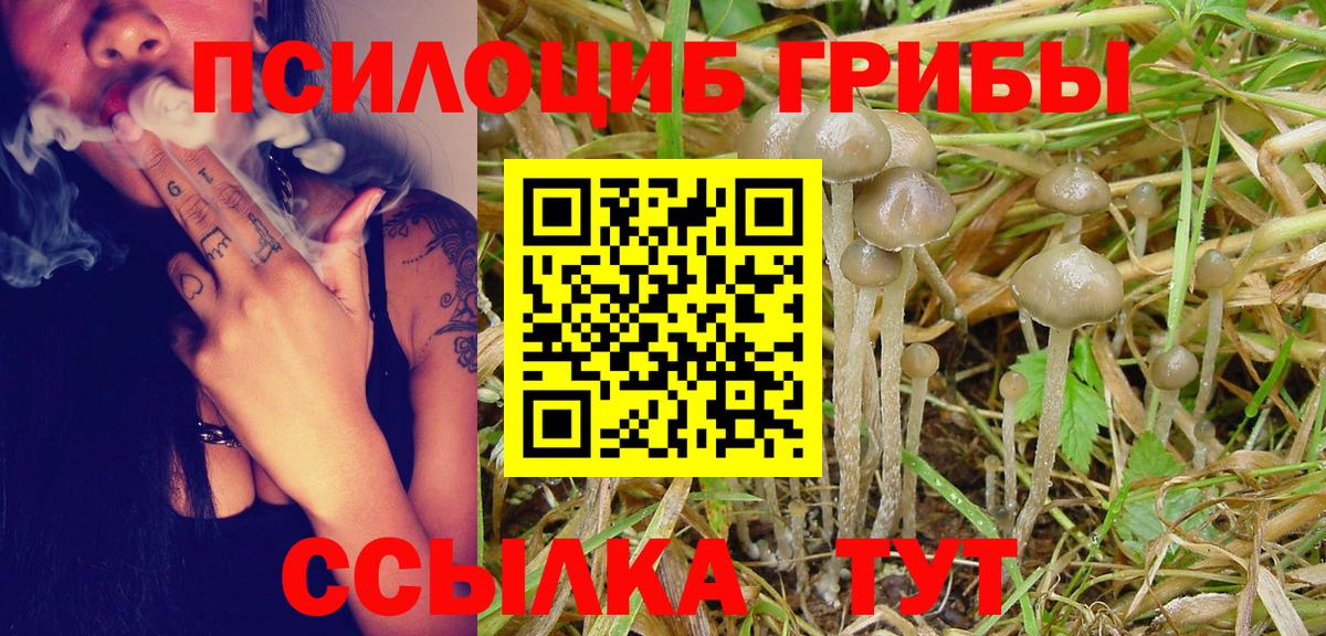 Галлюциногенные грибы ЛСД Аргун