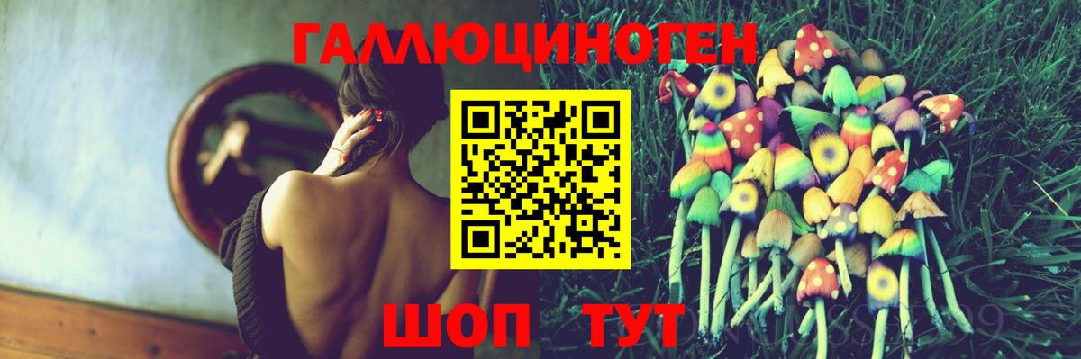 Аргун  Псилоцибиновые грибы MAGIC MUSHROOMS  Вход с VPN 