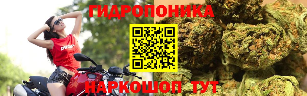 Шишки марихуана Ganja Аргун